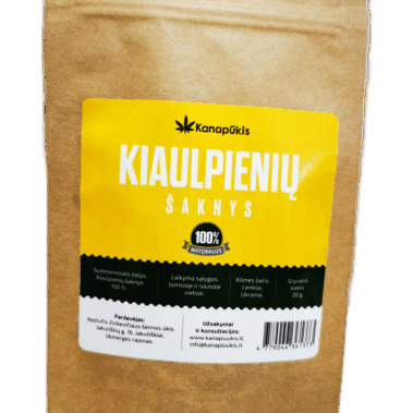 Kiaulpienių šaknys