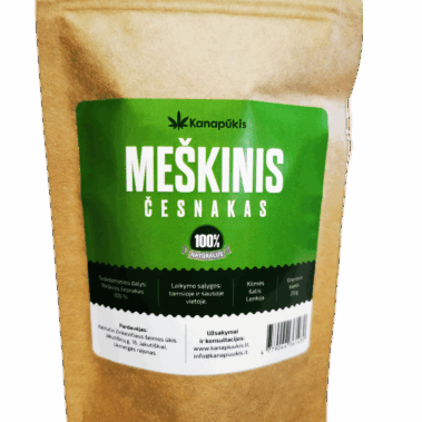 Meškinis česnakas