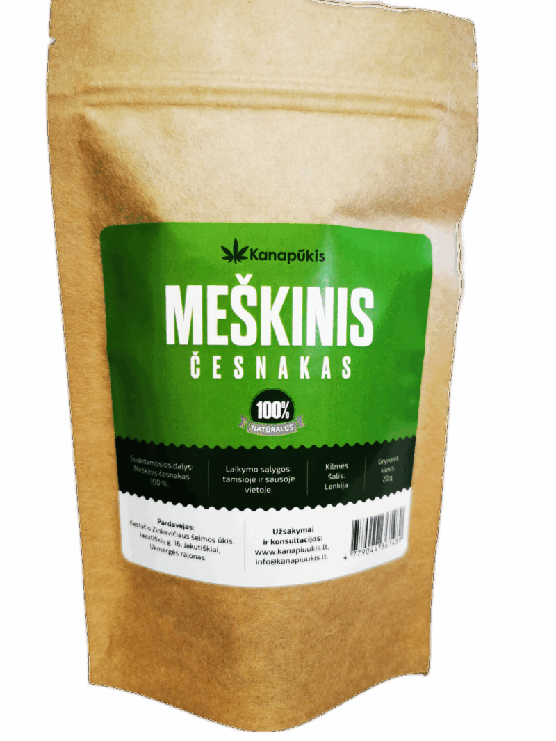 Meškinis česnakas