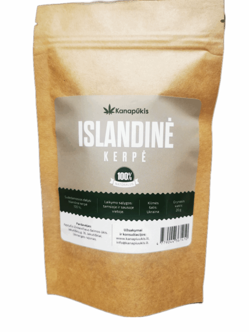 Islandinė kerpena