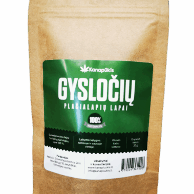 Gyslotis