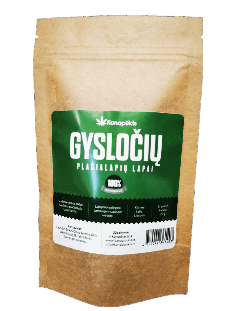 Gyslotis